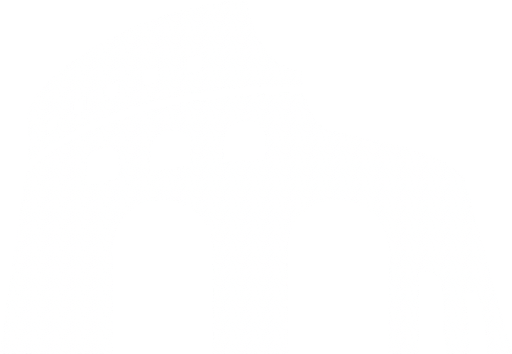 MyRoma